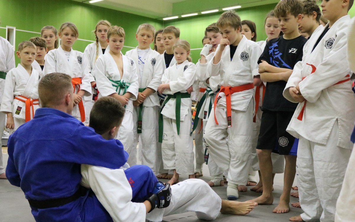 About - Taijutsu Kai Schools of Jujutsu